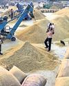 Rice millers shut operations14