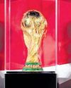 FIFA WC trophy lands in India for three days60