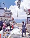 Iran unrest hits Indian basmati rice exports49
