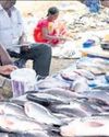 BMC's non-veg waste disposal norms20