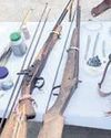 Bomb bait: Injured jumbo dies25