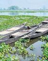 Orissa POST