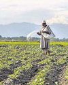 Holistic agriculture plan reshapes J&K farming31
