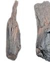Scientists recover ancient wooden tools in Greece Scientists recover ancient wooden tools in Greece1