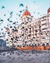 Orissa POST