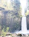 Iconic private waterfall put up for sale in Oregon4
