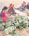 Orissa POST