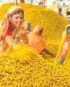 Iran war halts Marathwada turmeric exports31