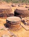 ASI concerned over illegal construction at key Buddhist site24