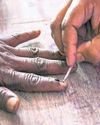 Campaigning ends today; 4,023 candidates in fray34