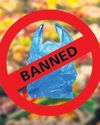 Capital’s paradox: Progress vs plastic pollution16