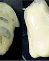 NIT Rourkela patents bio-ink for 3D-printed tissue repair24