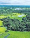 States ask Centre to amend forest laws to protect grasslands21