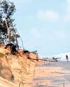 Gahirmatha sees no arribada; experts sound alarm22
