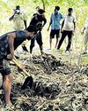 Newlywed woman's body exhumed; hubby arrested27
