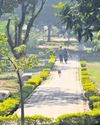 100 ‘OXYGEN PARKS’ ON CARDS IN DELHI 100 ‘OXYGEN PARKS’ ON CARDS IN DELHI28