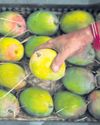 Orissa POST