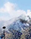 Army, IAF put out massive forest fire in Kasauli Army, IAF put out massive forest fire in Kasauli23