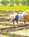 Consumption demand under pressure: FinMin Consumption demand under pressure: FinMin11