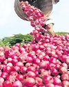 Onion farmers seek ₹10K-crore revival package, export stability Onion farmers seek ₹10K-crore revival package, export stability28