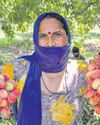 LITCHI CULTIVATION GAINS GROUND IN JAMMU LITCHI CULTIVATION GAINS GROUND IN JAMMU31