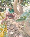 Green outfit installs 1,456 water bowls for birds in 7 districts23