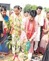 Orissa POST