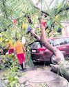 Orissa POST