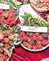 GI-tagged Litchi Fest expands Assam trade GI-tagged Litchi Fest expands Assam trade34