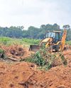 Tree stumps uprooted despite NGT scrutiny Tree stumps uprooted despite NGT scrutiny27