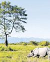 Orissa POST