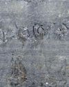 Ancient rock art found in Mayurbhanj Ancient rock art found in Mayurbhanj23