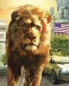 Lion On Ur Streets8
