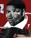 THE 40-YEAR-OLD SHAKESPEARE VIRGIN THE 40-YEAR-OLD SHAKESPEARE VIRGIN