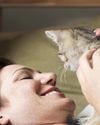 The Mental Health Benefits of Cats - How our feline friends keep our minds purring