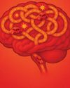 Boost Your Brainpower Good House Keeping - US