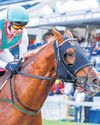 SIT JOU GELD OP FORTUNE19