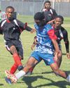 NET 48 SPANNE BLY NOG OOR IN BAYHILL-REEKS22