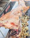 BAIE DELF ONDERSPIT MET SPITBRAAI8
