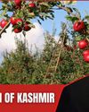 The Man Who Rescued Kashmir's Forgotten Apple The Man Who Rescued Kashmir's Forgotten Apple