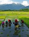 Kashmir's Agrarian Ghost Story Kashmir's Agrarian Ghost Story