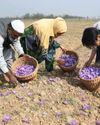 Kashmir's Economic Roadmap31