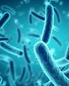 Only 8% Of Bacterial Infections In India Treated Appropriately In 2019: Lancet Study Only 8% Of Bacterial Infections In India Treated Appropriately In 2019: Lancet Study