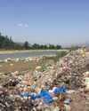 Trash Trouble in Paradise