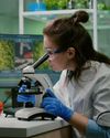 Women Make For 35% STEM Graduates Globally: UNESCO Women Make For 35% STEM Graduates Globally: UNESCO