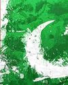 Kashmir Observer