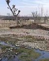 Kashmir Observer