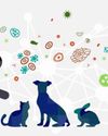 8% Infectious Disease Outbreaks During 2018-2023 Spread From Animals To Humans: Study4