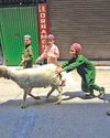 'WE SKIPPED QURBANI': Eid In Kashmir Felt Different This Year20