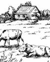 When Village Lands Vanish36